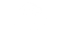 International Institute of Information Technology